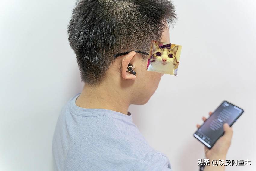 摩点众筹尺寸,摩点众筹官网