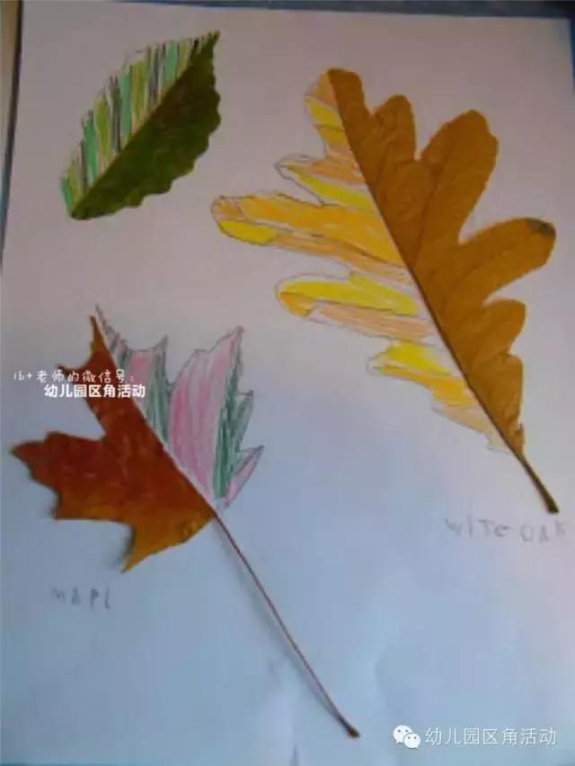 绉嬪ぉ涓婚鍖哄煙娲诲姩璁捐鏂规,绉嬪ぉ涓婚璇剧▼娲诲姩鏂规璁捐