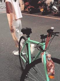 看了整整七分钟，他们最终还是上去了