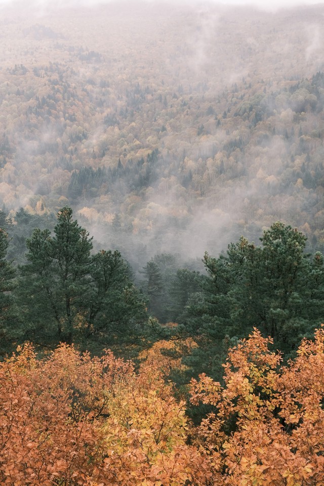 富士小巧轻便,富士轻便的相机