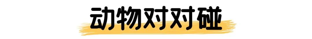 1岁3个月适合玩的桌游,年糕同款桌游