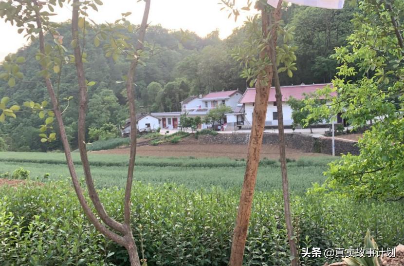 故事：被房子*绑捆**的婚姻：结婚，就是找个人一起还房贷