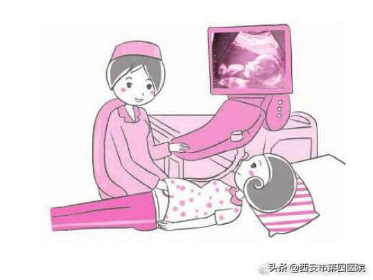 怎么看胎儿四维b超检查报告,孕妇三维四维分别检查什么