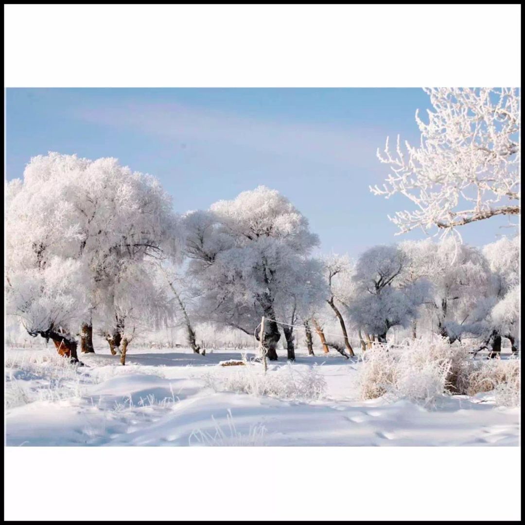 发朋友圈怎么才能火爆,怎么发朋友圈人气高