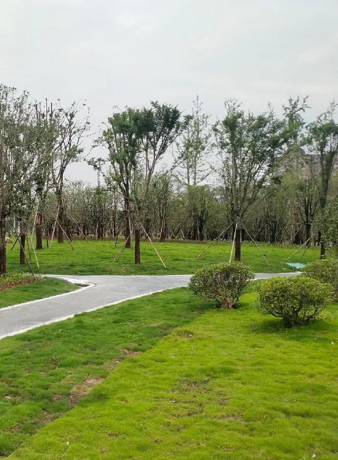 经开区龙潭水渠改造工程,潜山市龙潭乡河道改造