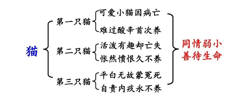 语文预习猫七年级上册,七年级上册猫课前预习