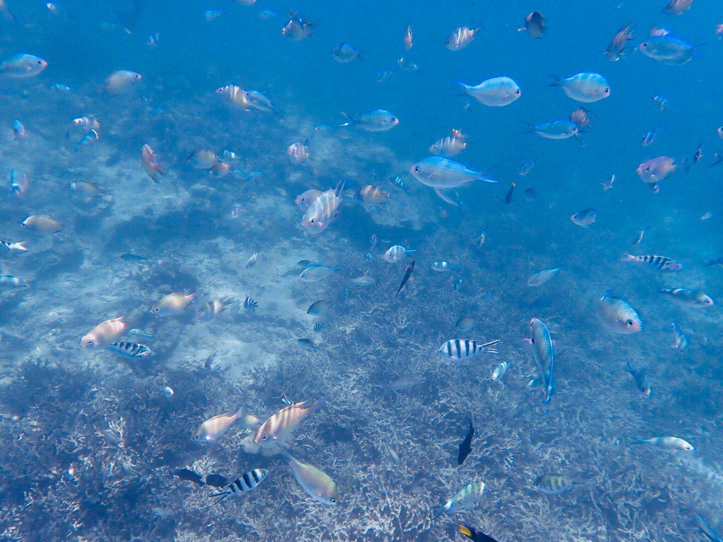 马来西亚沙巴旅游攻略详细,马来西亚沙巴好玩不