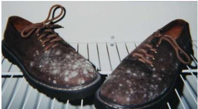 鐨瀷鍙楁疆闀挎瘺鍙戦湁鎬庝箞澶勭悊,鐨瀷鍙楁疆鍙戦湁鎬庝箞淇