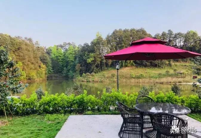 重庆爬山推荐险峻,重庆峭壁悬崖景区