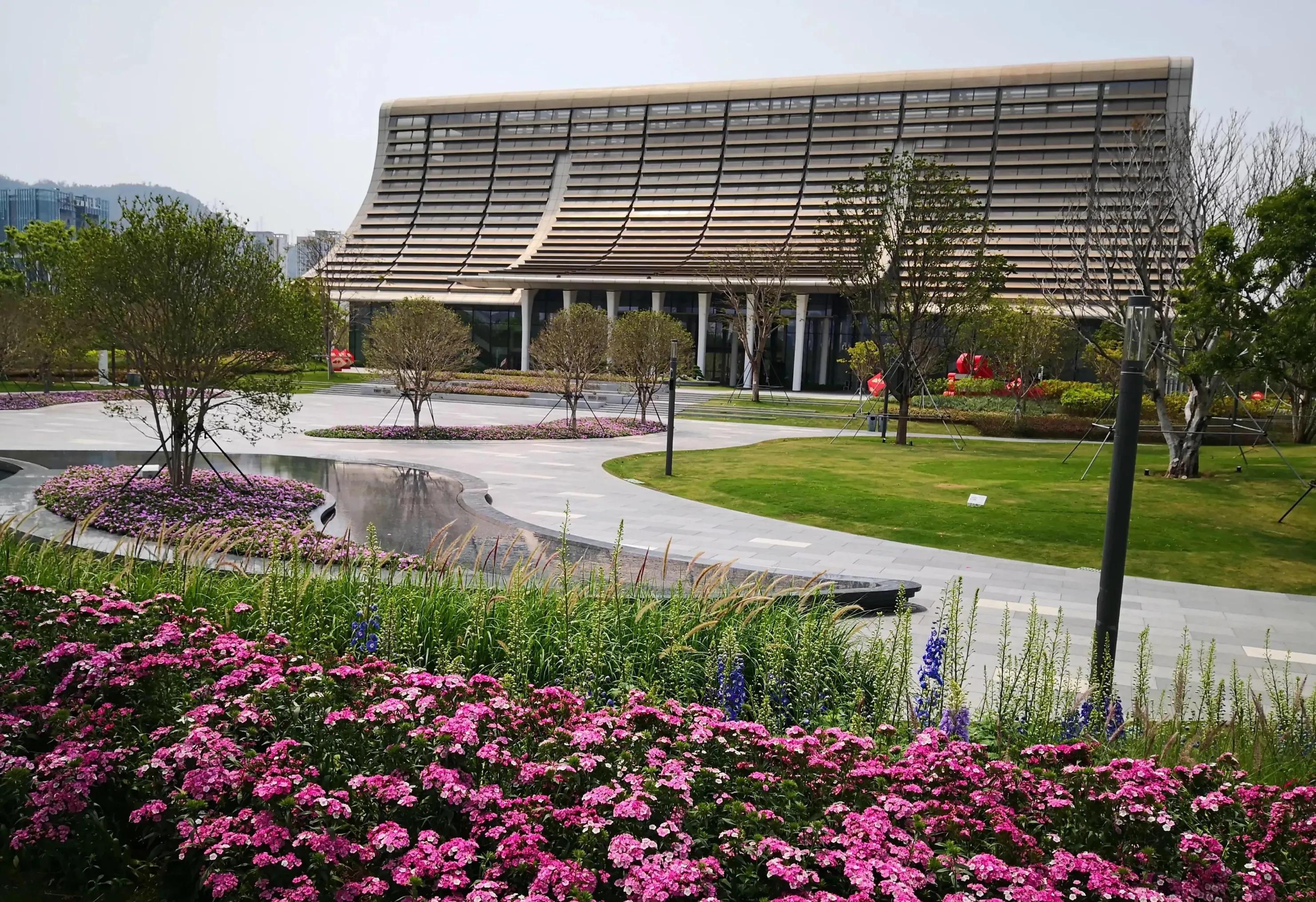 深圳花海公园地址在哪里,深圳中心河公园花海