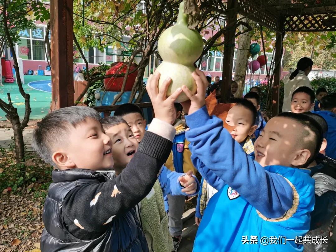 寻一抹秋色，遇一片美好：济南市启明星幼儿园的秋之美