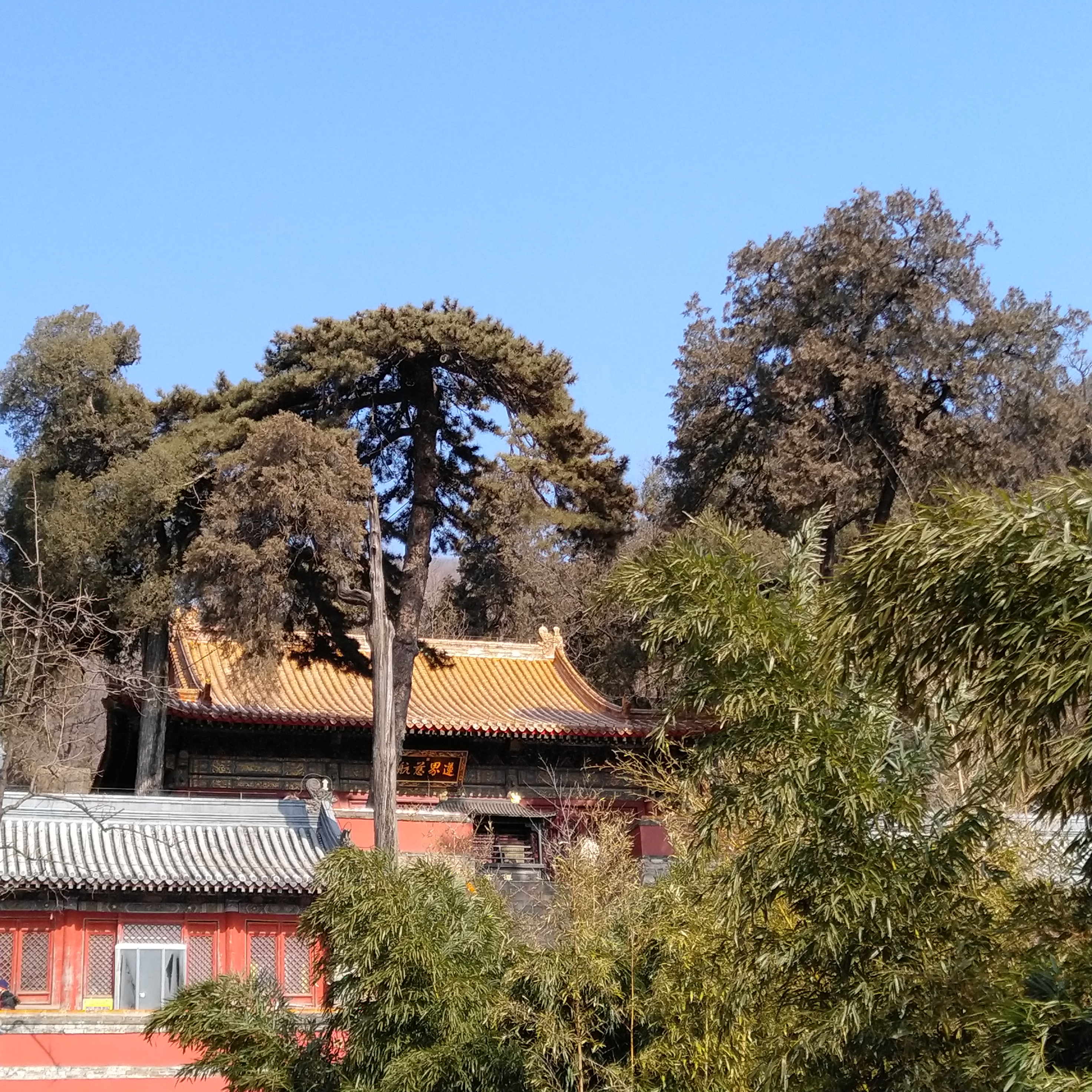 北京卢沟桥一日游,潭柘寺八奇洞一日游