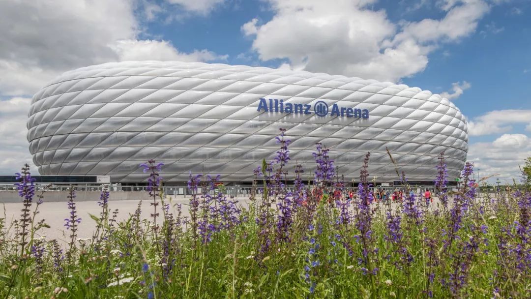 为国足设计的足球场,为中国男足设计的足球场