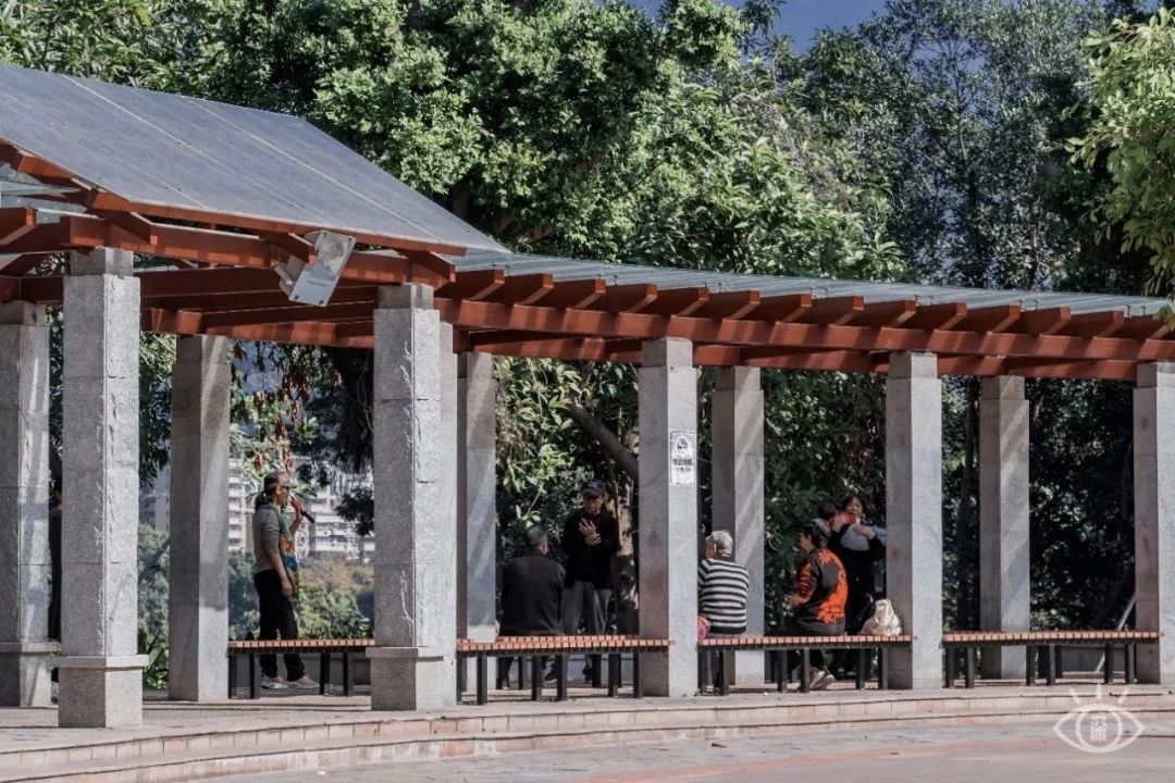 深圳最适合亲子游的好去处,深圳周末家庭游玩好去处