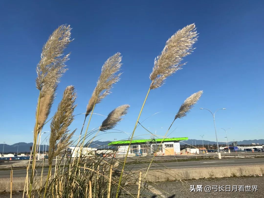 加拿大多伦多皮尔逊机场转机,加拿大转机去哥斯达黎加