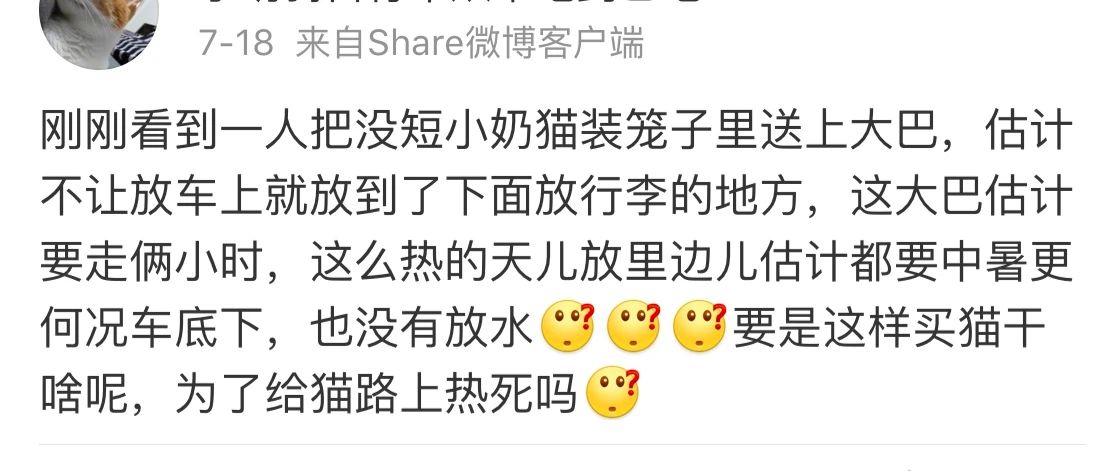 猫中暑怎么预防,猫中暑怎么缓解