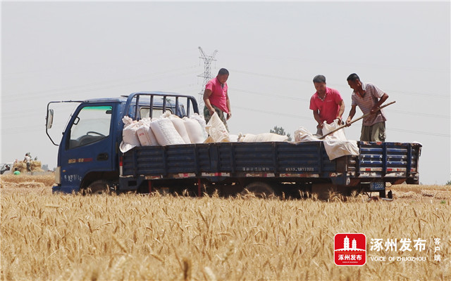 风正好扬帆奋进正当时宣传片,风正起扬帆正当时
