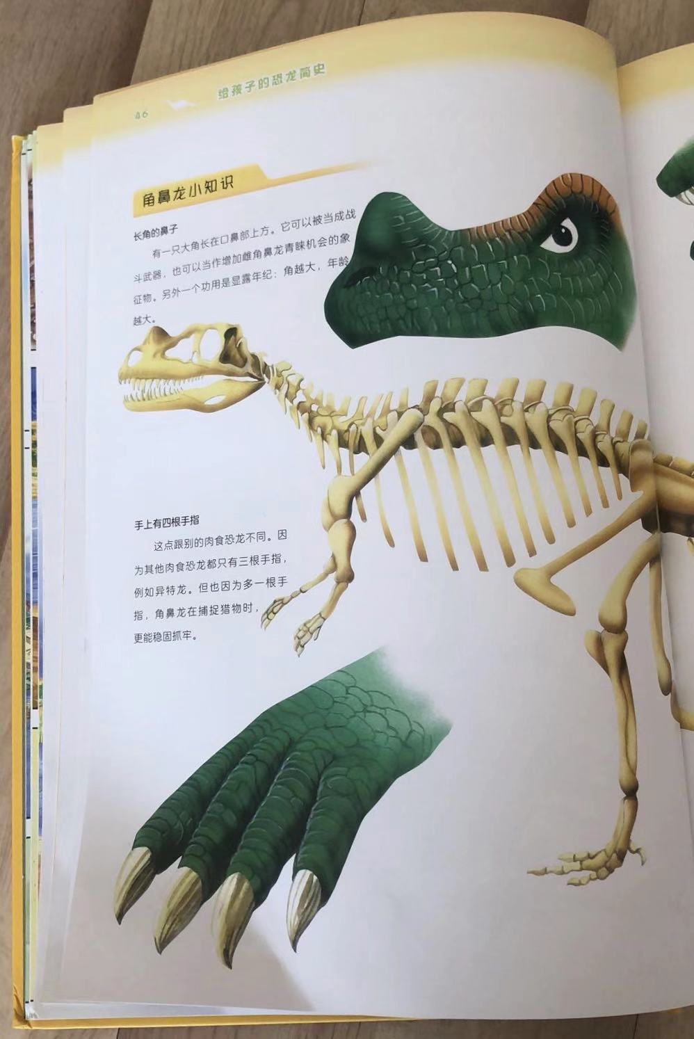 恐龙知识大百科恐龙时代,穿梭到恐龙时代了解恐龙知识