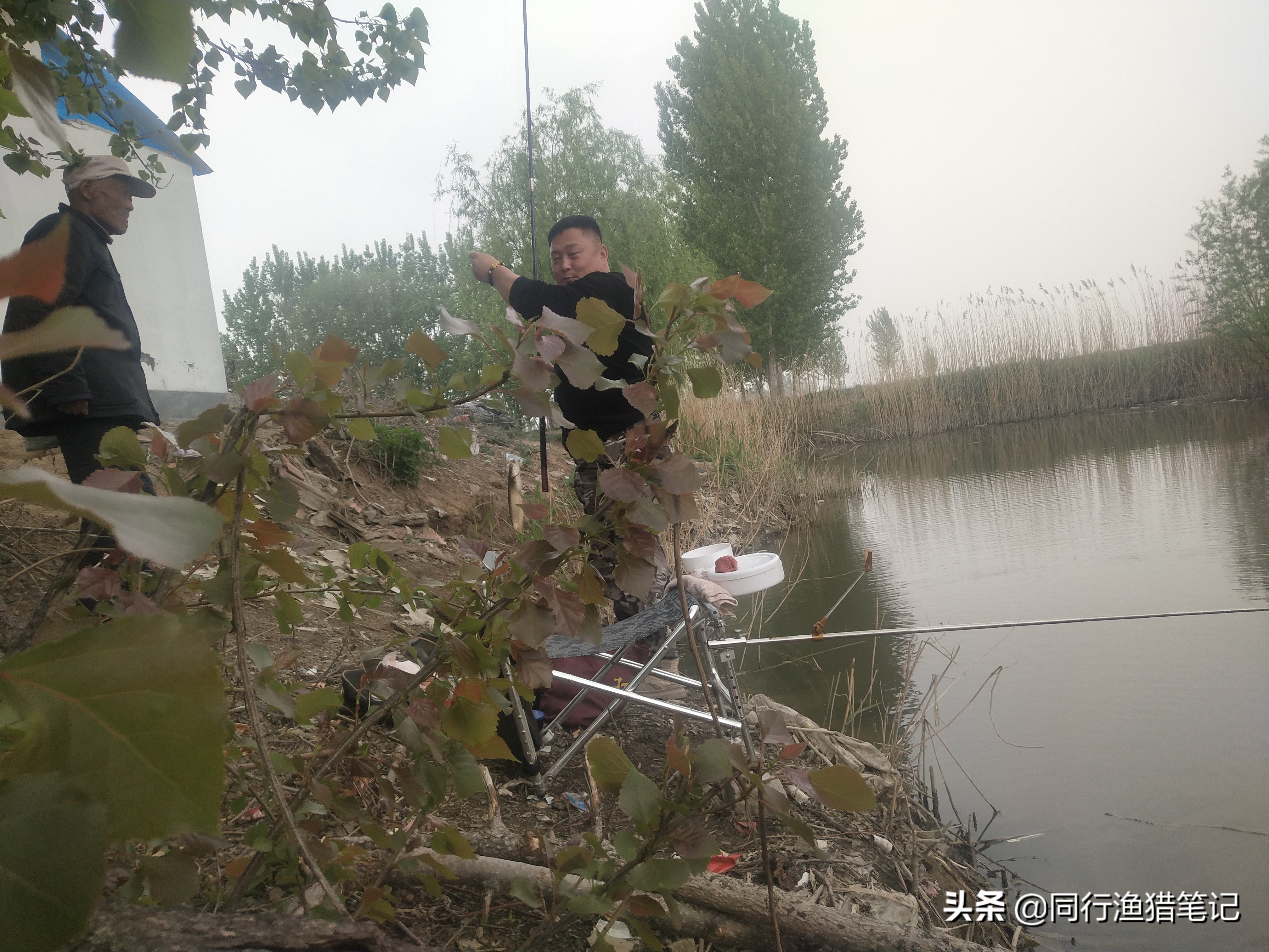 肥水塘如何钓浮,溶氧量低鱼会怎么样