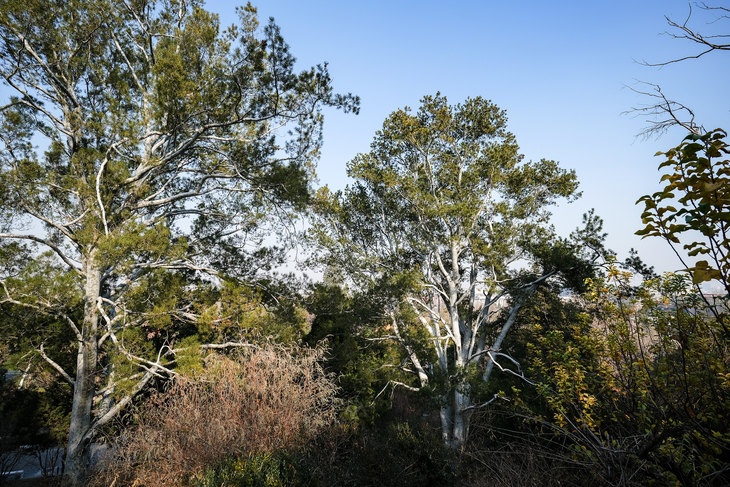 富士xt3有哪些变焦镜头推荐,富士x-t30xc35套机拍照