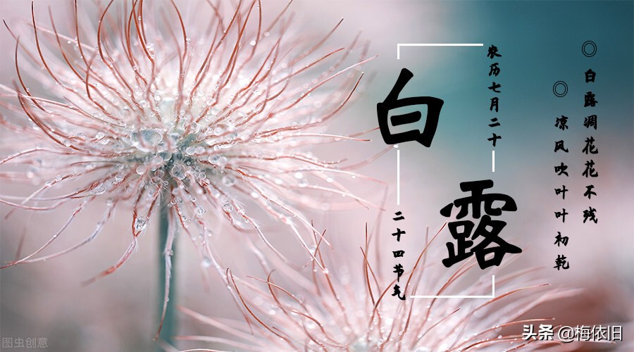 白露节气煲什么汤最好,白露节气喝什么养生汤