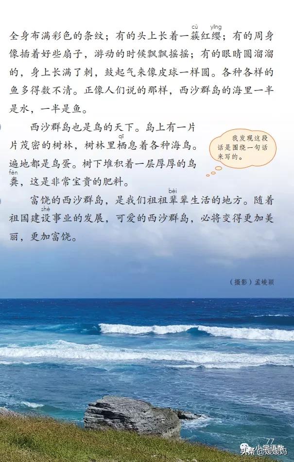 三年级第18课富饶的西沙群岛视频,三年级上册18富饶的西沙群岛笔记