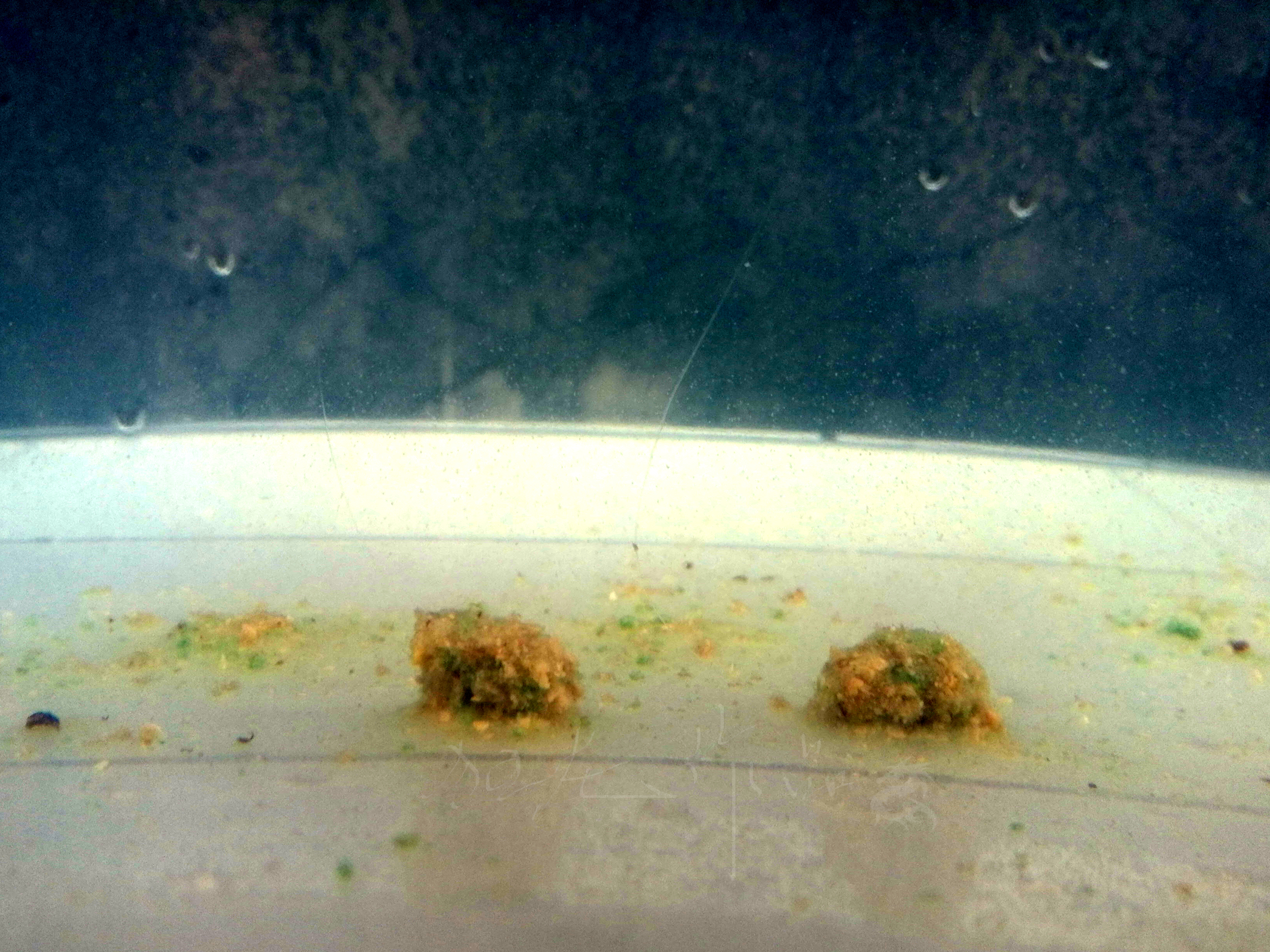 悬浮状态和漂浮状态,悬浮触底躺底三种状态