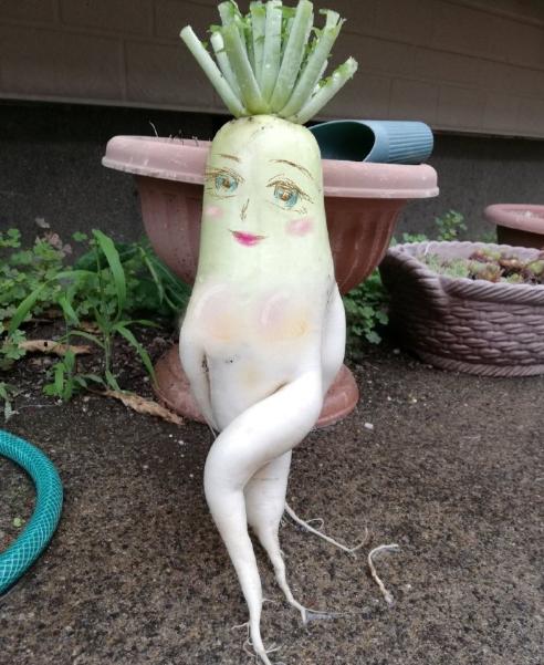 日本网友吐槽：吃个蘑菇也能被秀恩爱