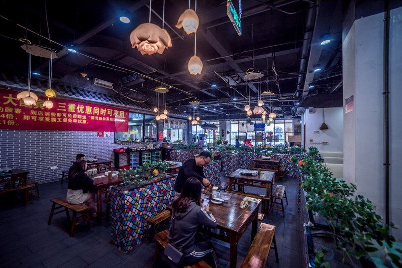 星湖冬日燃情，比落羽杉还要红的是什么？#我和湿地有个约会#