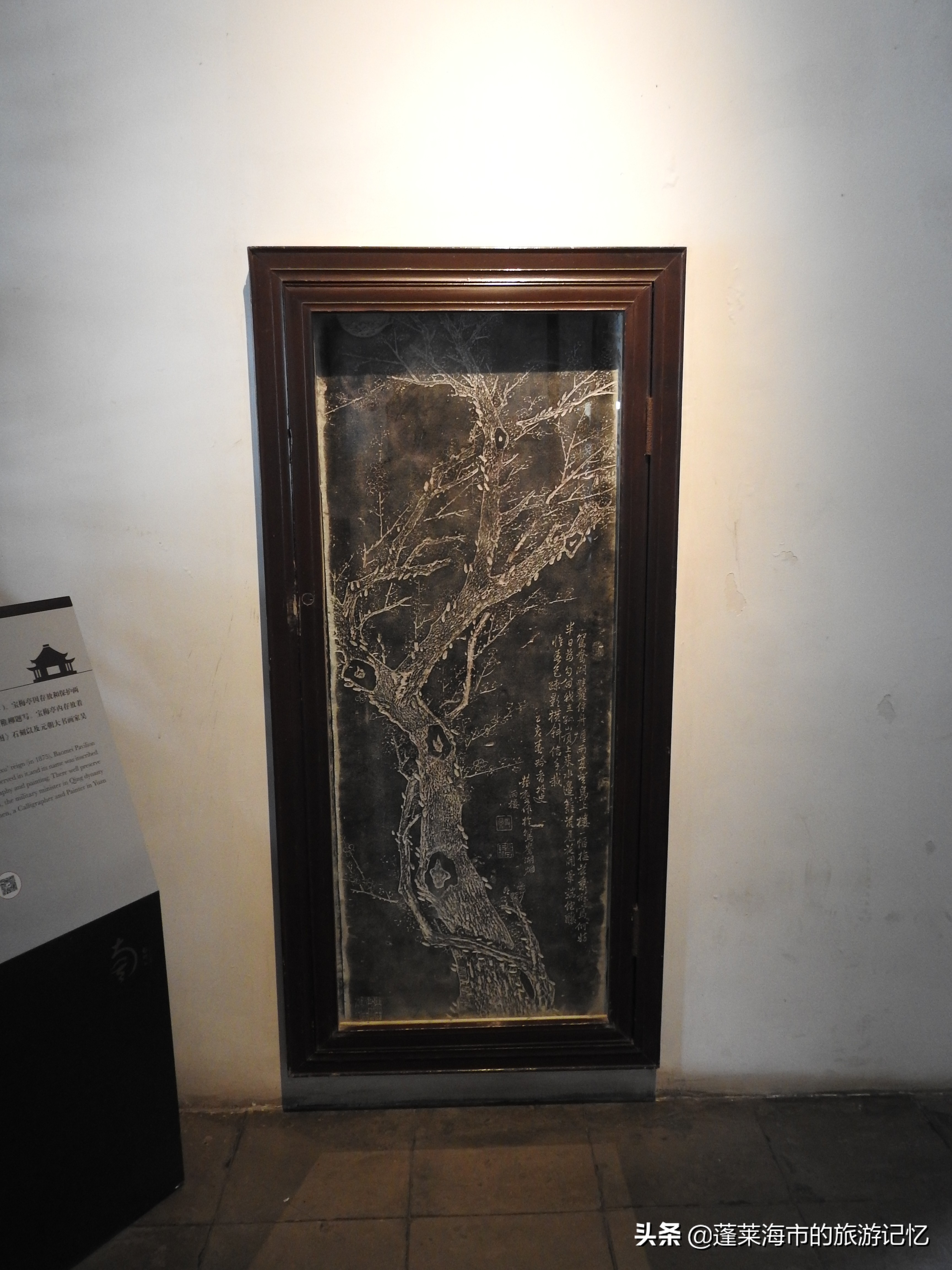 嘉兴南湖哪个省,嘉兴南湖最大的镇