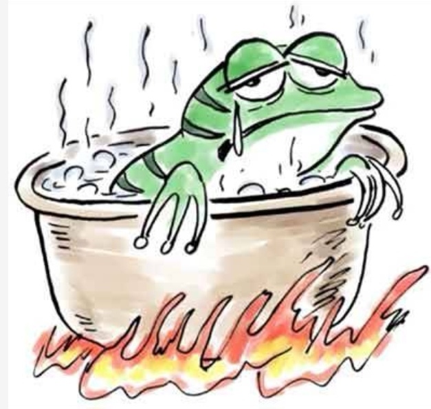 职来职往完整版台词,职来职往求职者谈人格分析