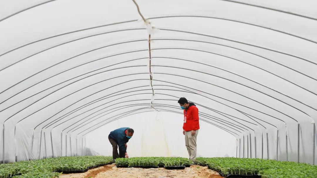 扶绥驻村第一书记,2018年崇左扶绥县委书记