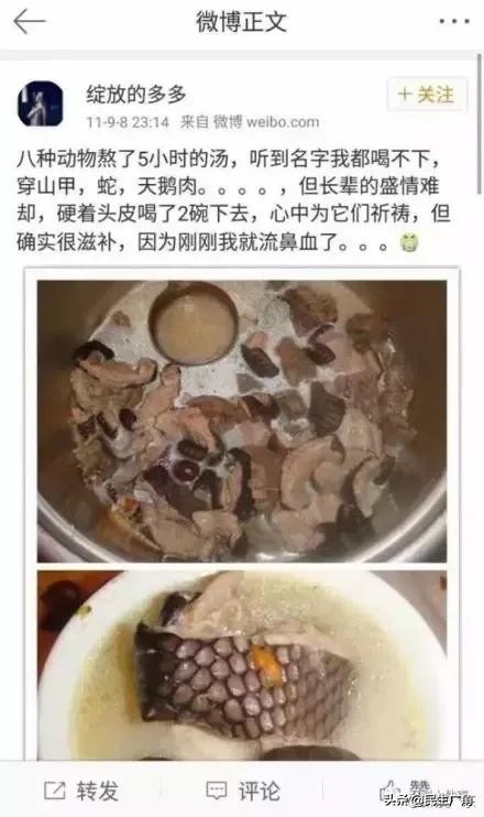 肺炎疫情首例治愈,首例肺炎感染者治愈回家