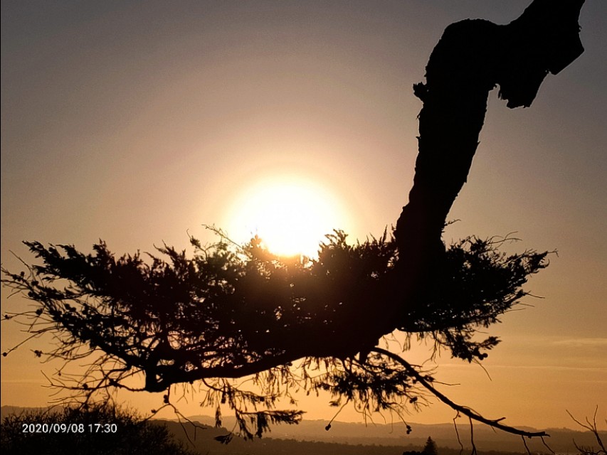 一树山,我的精神家园