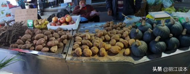 瓜瓜豆豆的视频,瓜瓜豆豆视频