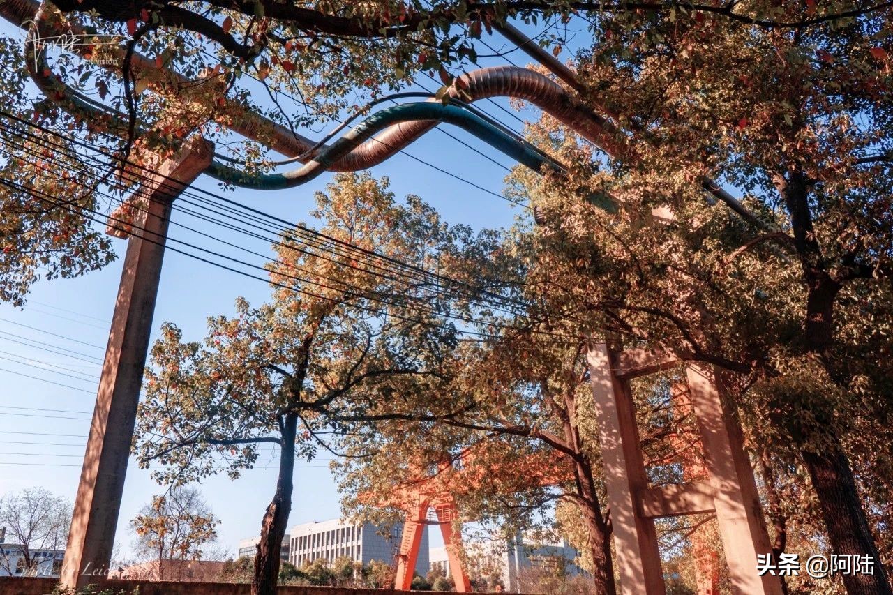 杭钢搬迁到哪里去了,杭钢现在在哪里