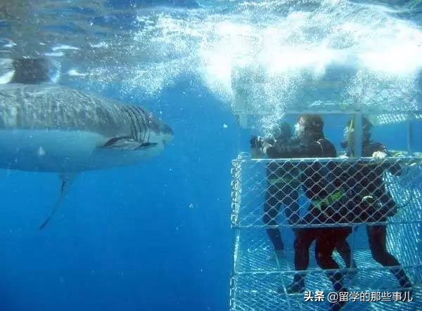 澳大利亚有哪些旅游胜地,澳大利亚有什么好玩的免费景点