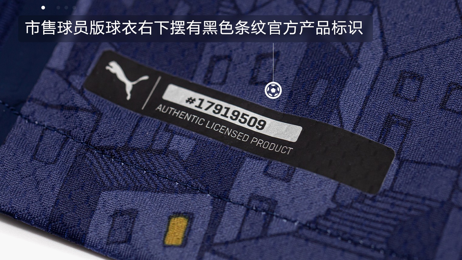 puma欧洲国家队全新球衣,puma2018球员版球衣尺码