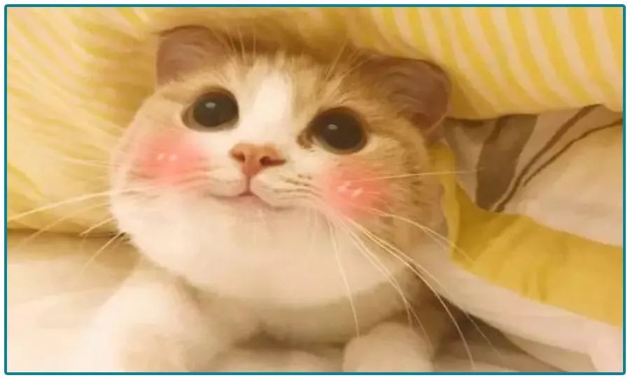 这些让你不起眼的小病会成为癌症,这六个小病最容易拖成癌症