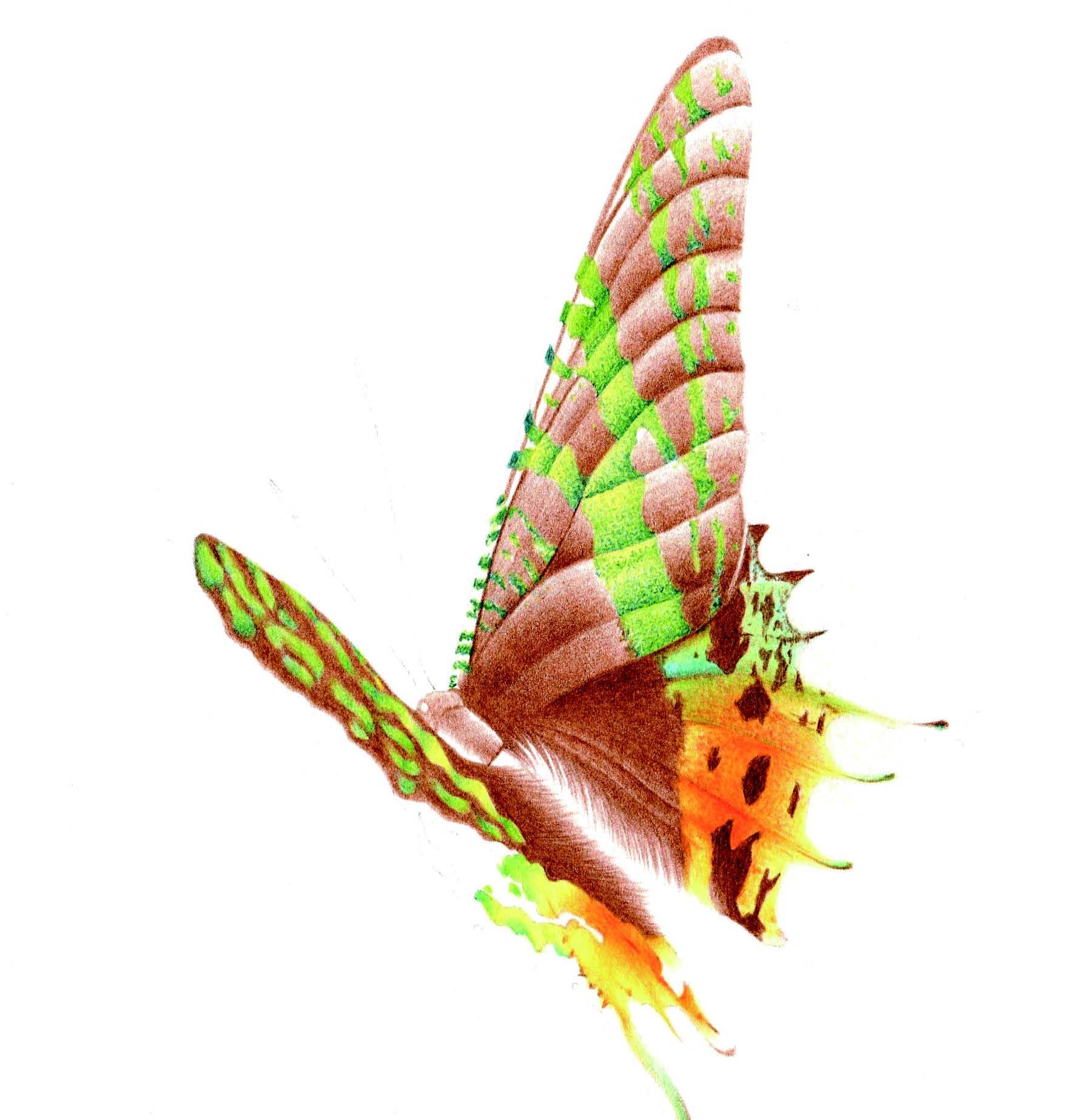 3d错觉画教程,3d错觉画作品