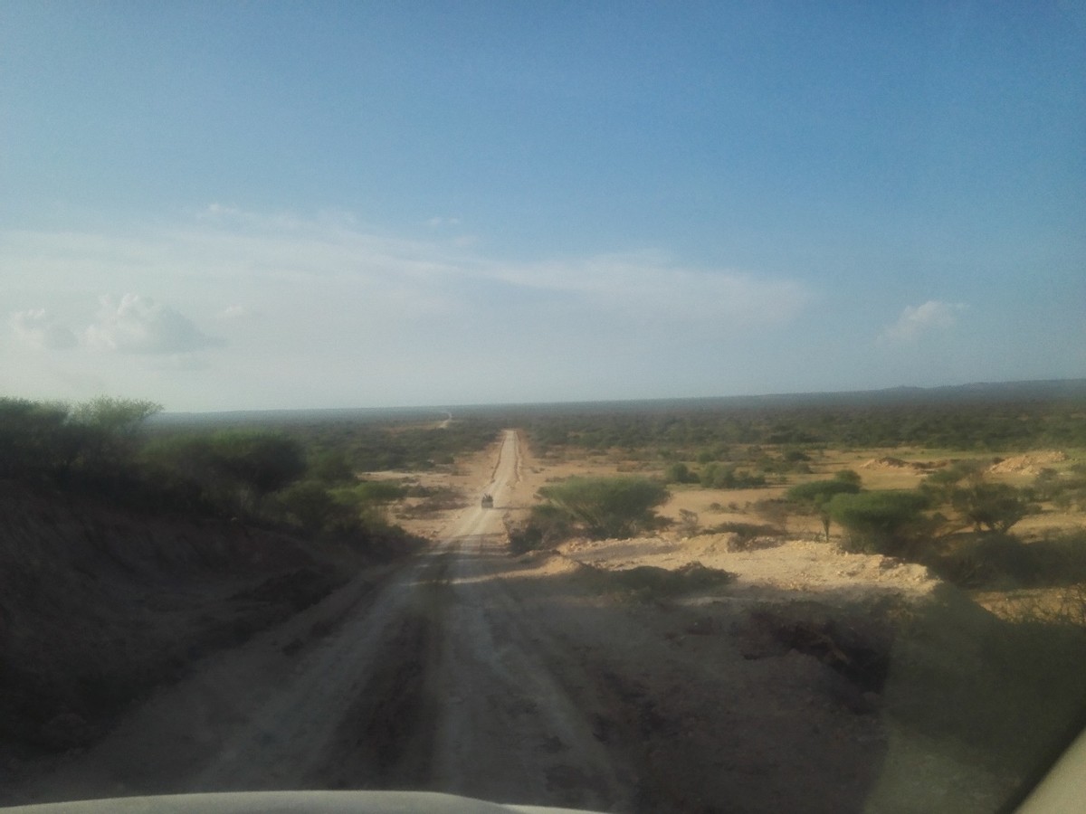 长文预警：一个国际亡命徒的多语种学习方法和经验总结