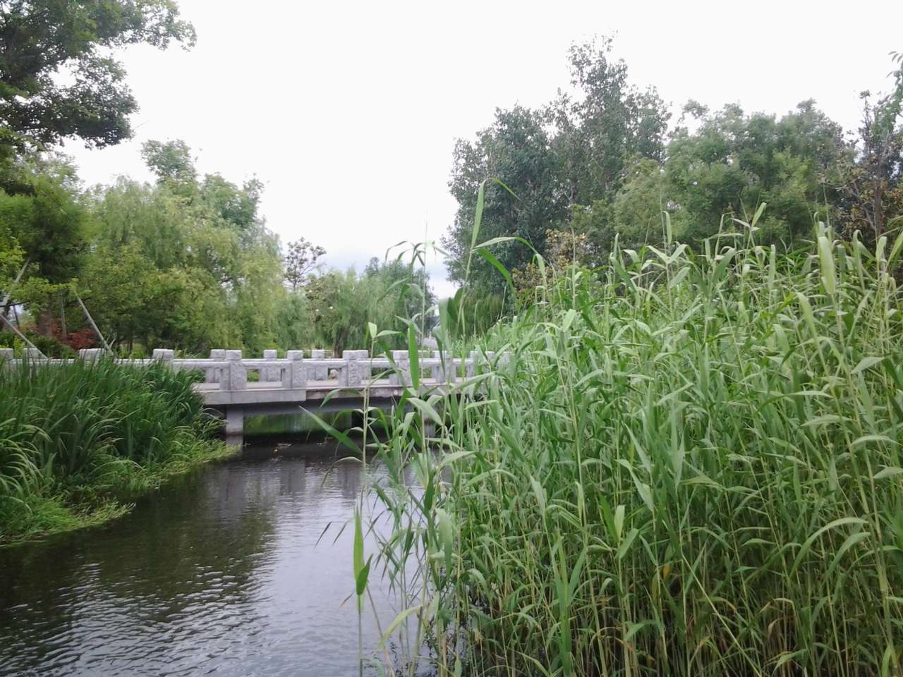 畅游公园视频,游清音公园