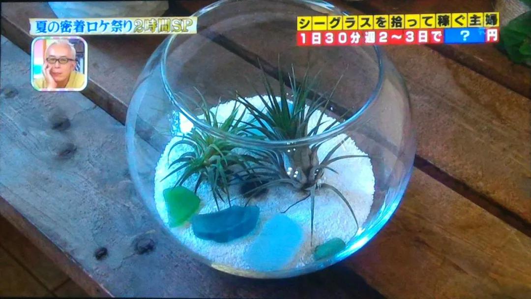 日本主妇省钱存钱,日本捡垃圾一个月能收入多少