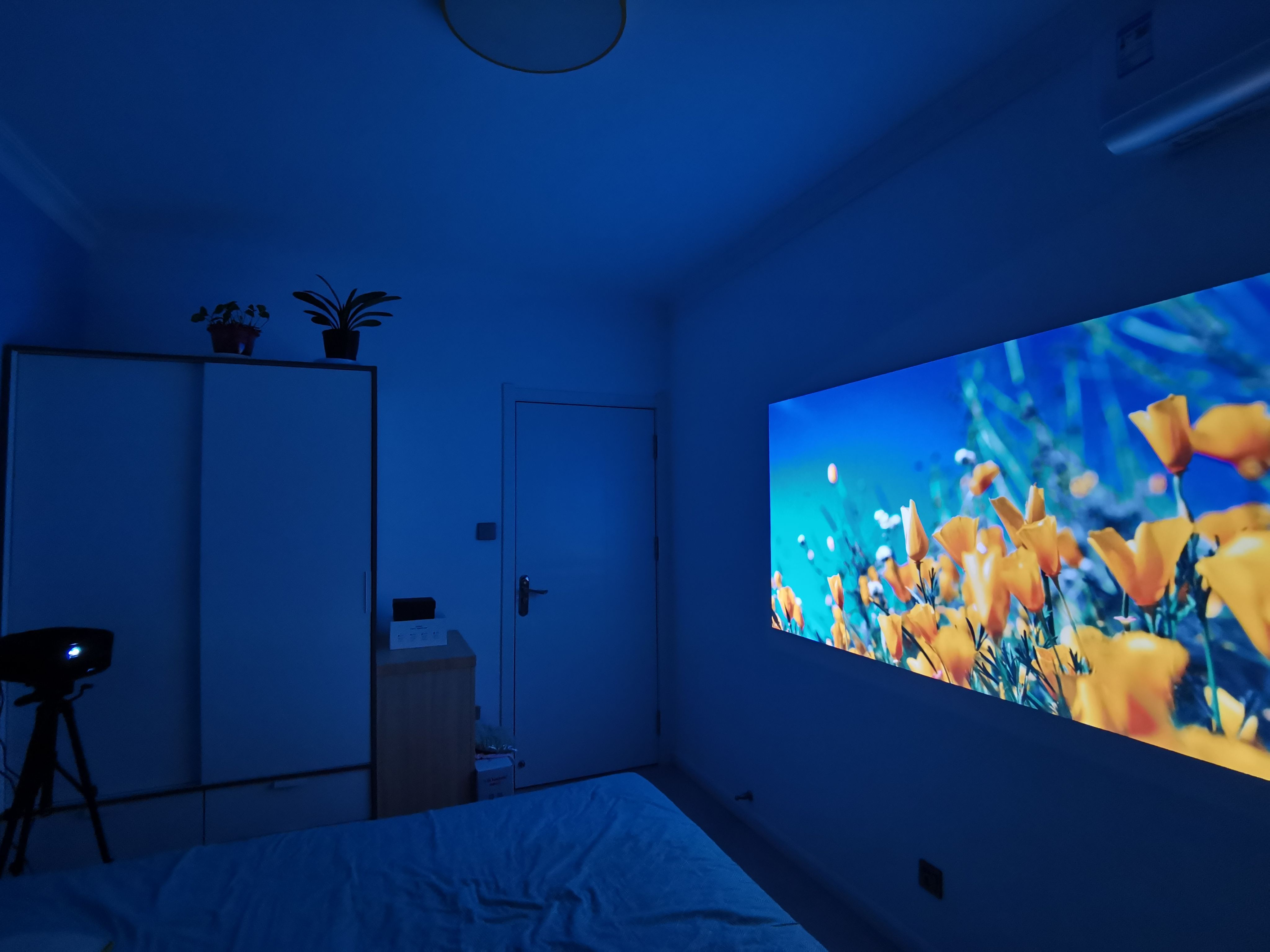 鍧氭灉鎶曞奖浠獀20娴嬭瘎瑙嗛,鍧氭灉鎶曞奖v10娣卞害璇勬祴