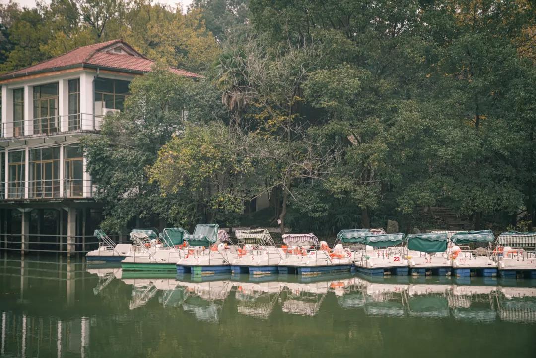 父母约会时，玩得比你野多了