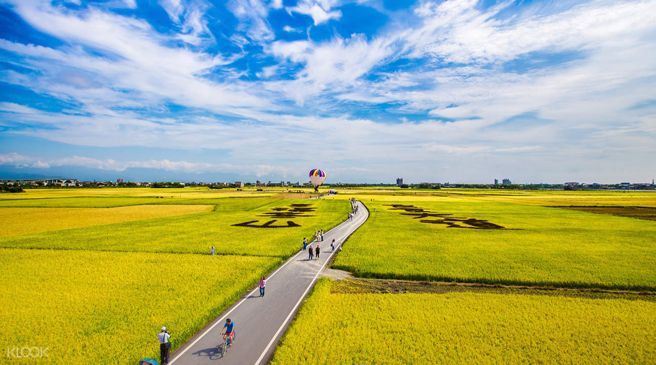 骑行摔车的正确姿势,南宁山地车租赁平台