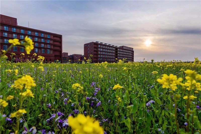 天津普通二本学校,天津普通二本大学目录