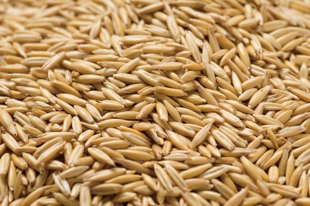 燕麦的各种食品,十大健康食品燕麦排名