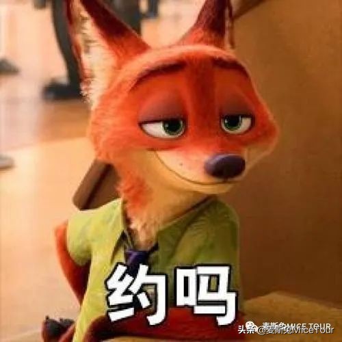 邮轮人物|海上C位之星，大家的“姐夫”