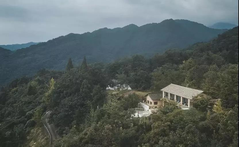 成都民宿推荐青城山,青城山花娟树屋民宿